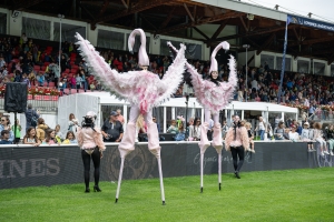 SUIZA, LONGINES CSIO St. Gallen, ecuestre