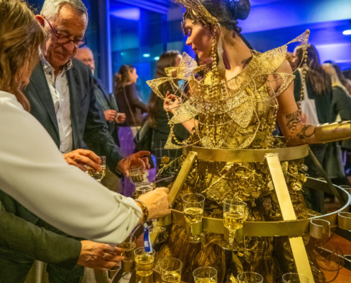 alt="espectáculo para evento corporativo con performance aérea"